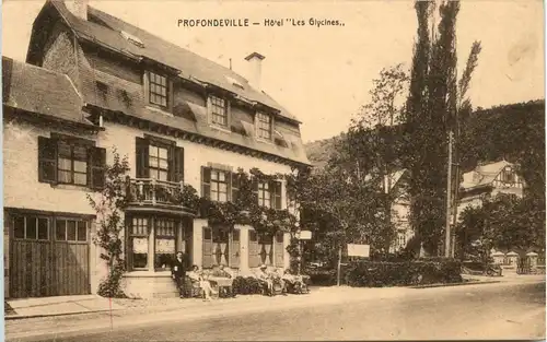 Profondeville - Hotel Les Giycines -415922