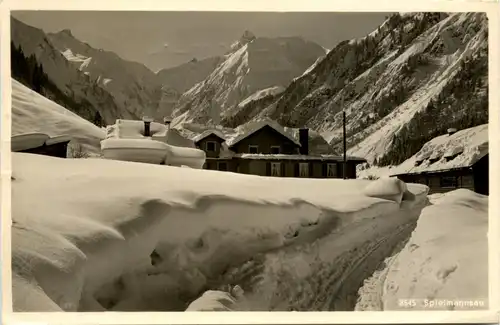 Oberstdorf, Spielmannsau mit Trettachspitze -348694