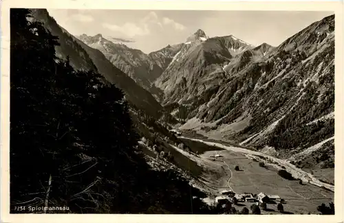 Oberstdorf, Spielmannsau mit Trettachspitze -348692
