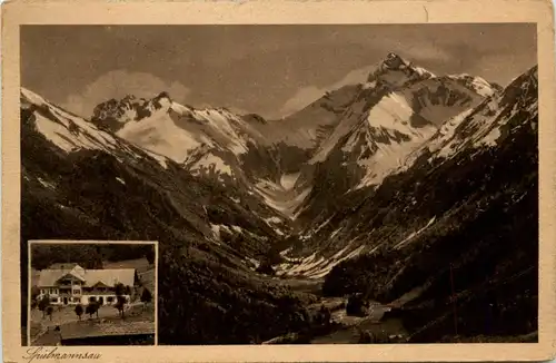Oberstdorf, Spielmannsau mit Trettachspitze -348704