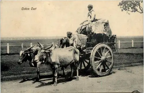Cotton Cart -417976