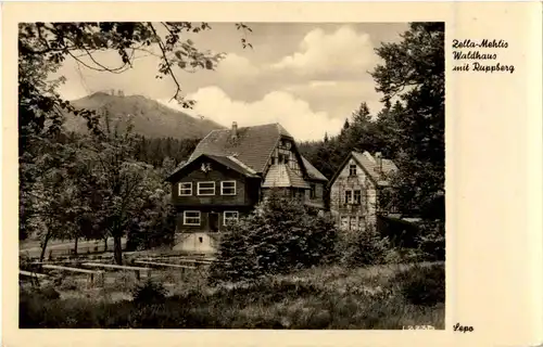 Zella-Mehlis - Waldhaus mit Ruppberg -41814