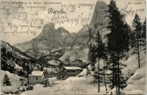 Hinterbärenbad, Kaisergebirge -350560