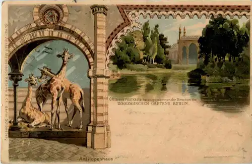 Zoologischer Garten Berlin - Giraffen - Litho -42432