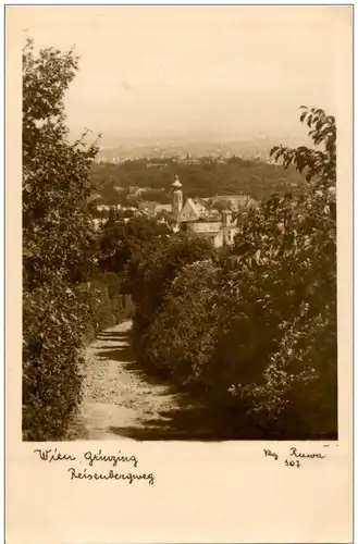 Wien Grinzing - Reisenbergweg -7350