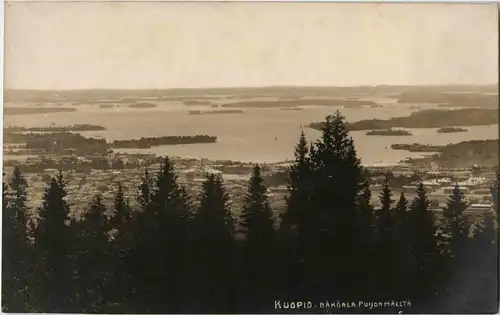 Kuopio - Näköala Puijon Mallta -42712