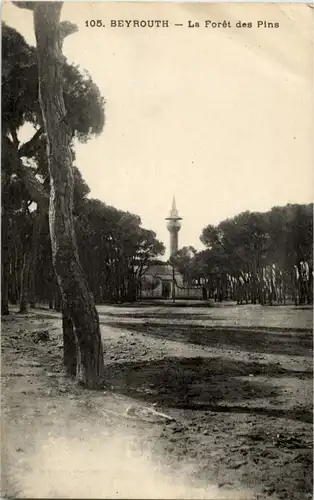 Beyrouth - Le Foret des Pins -42732