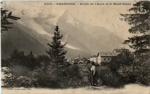 Chamonix - Bords de l Arve -43012