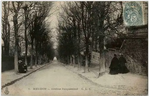 Meudon - Avenue Jacqueminot -8314