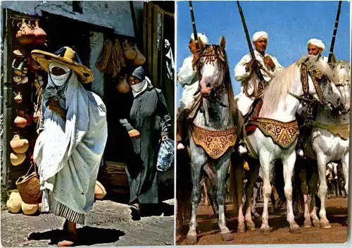 Maroc - Tipic -43312
