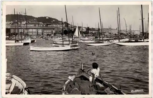 Cannes - Le Port et le Casino -8780