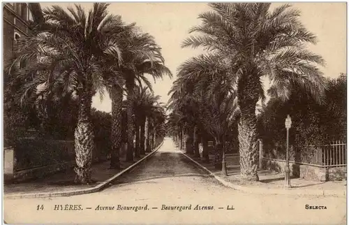 Hyeres - Avenue Beauregard -7844