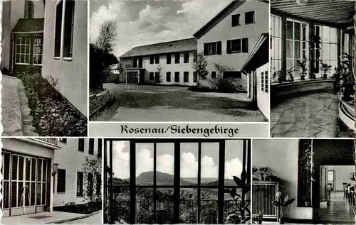 Rosenau - Siebengebirge - Königswinter -43652