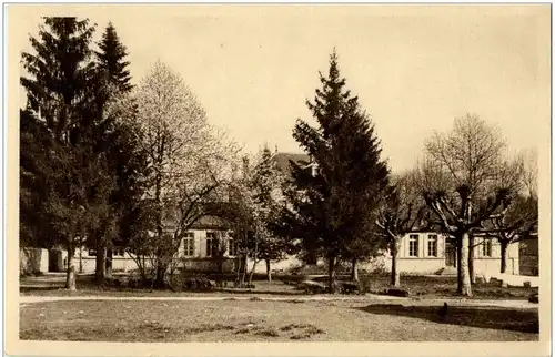 Morestel - Les Ecoles -8582