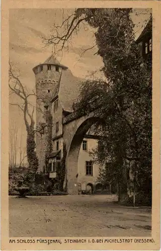 Am Schloss Fürstenau - Steinbach bei Michelstadt -44012