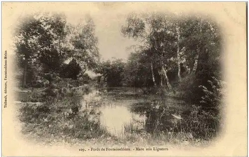 Foret de Fontainebleau - Mare aux Ligueurs -7710