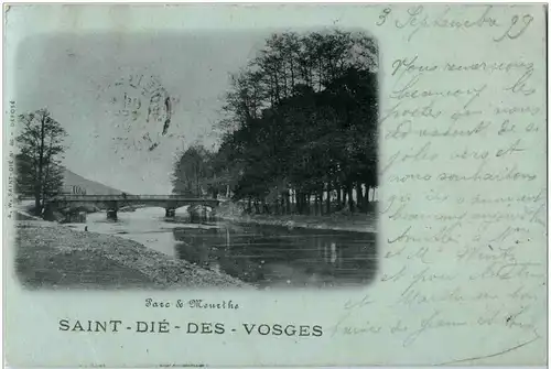 Saint Die - Parc Meurthe -9048