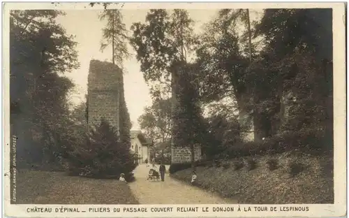 Epinal - Chateau -9028