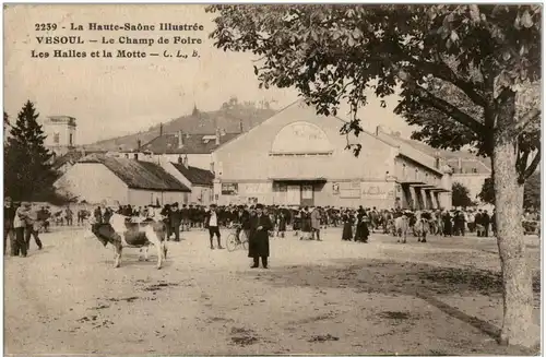 Vesoul - Les Halles et la Motte -9100