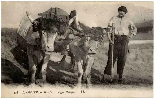 Biarritz - Boeufs -9124
