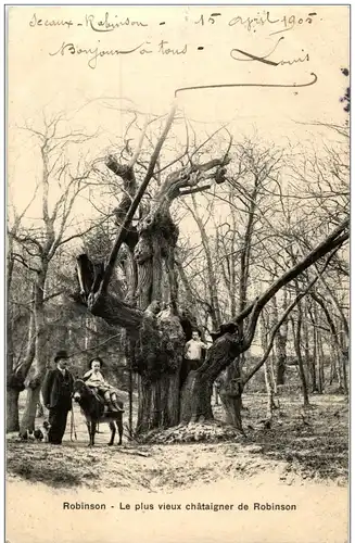 Robinson - Le Plus vieux chataigner de Robinson -8248