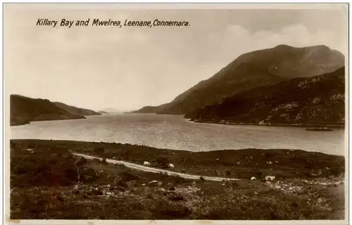 Killary Bay and Mwelrea - Leenanae Connemara -104388