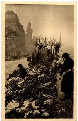 Paris - Le Quai aux Fleurs -9698