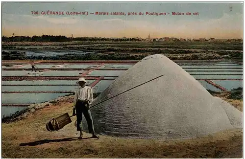 Guerande - Marais salants -9218