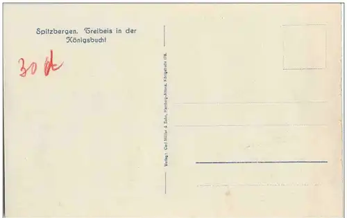 Spitzbergen - Treibeis in der Königsbucht -104762