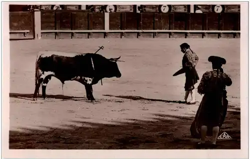 Arles - Course de Taureaux -9298