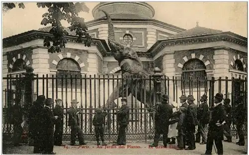 Paris - Jardin des Plantes -9588