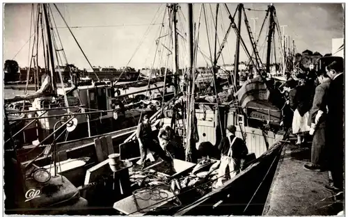 Concarneau - Retour de la Peche au Thon -105614