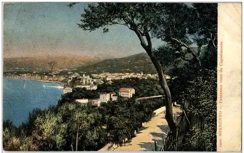 Sorrento - Panorama visto da Capodimonte -104532