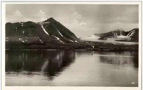 Spitzbergen - Königsbucht -104770