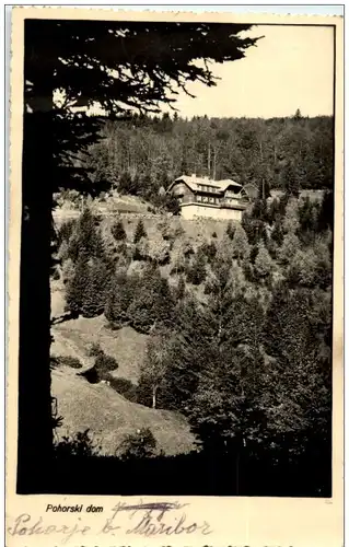 Pohorski Dom - Planinsko Letowsce -104980