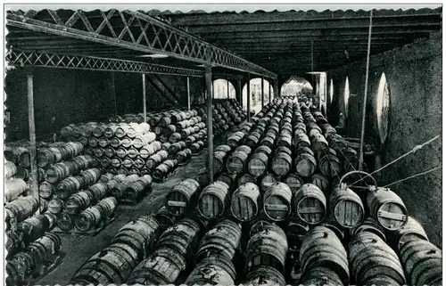 Casa Codorniu San Sadurni de Noya - Una bodega -106774