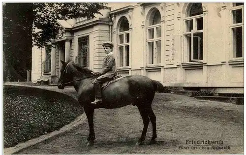 Friedrichsruh - Fürst Otto von Bismarck -106082