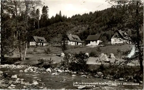 Schönmünzach im Schwarzwald - Tauchert Siedlung -47864