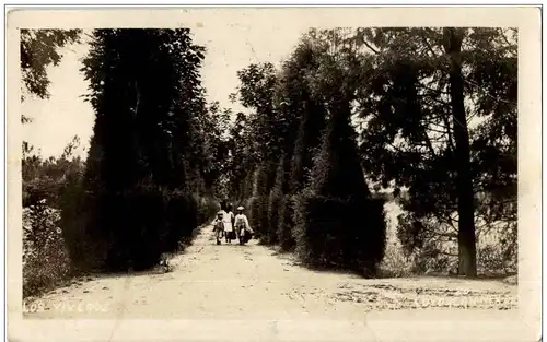 Mexico - Sucurbal -106608