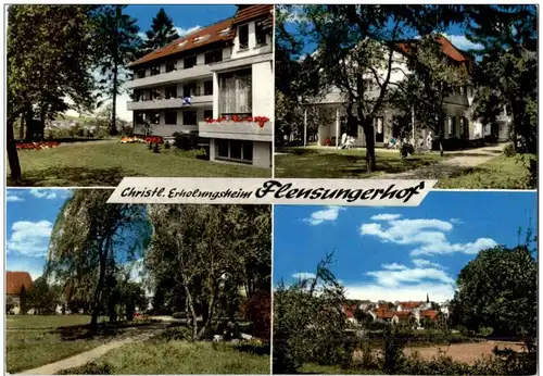 Mücke - Christl. Erholungsheim Flensungerhof -106834