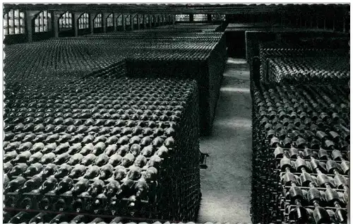 Casa Codorniu San Sadurni de Noya - Botellas envejeciendo -106776