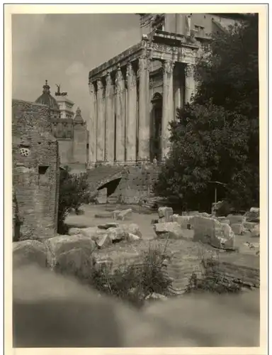 Roma - Forum - Photo -107552