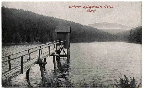 Spiegeltaler Teich Harz -107210