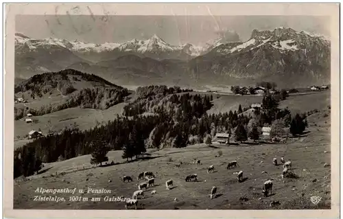 Alpengasthof Zistelalpe am Gaisberg -107342