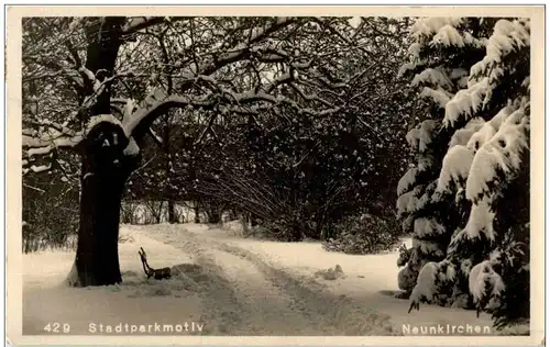 Neunkirchen - Stadtparkmotiv im Winter -106440