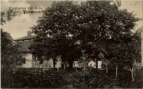 Säteri - Järneland - Flyglarna vid Aras -49064
