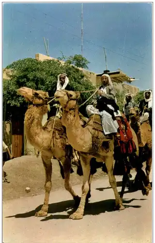 Beer Sheba - Bedouins on Camels -108090