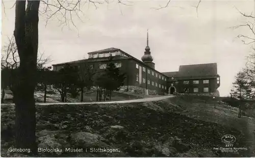 Göteborg - Biologiska Museet -49244