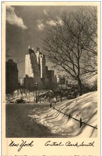 New York - Central Park in Winter -107832