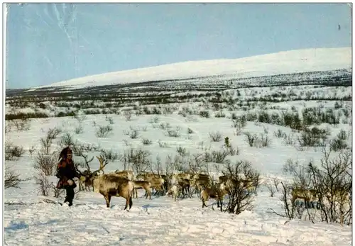 Finland - Lappalainen ja porot tunturissa -108570